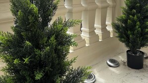 Un balcón con barandilla, árboles siempreverdes en macetas y un edificio al fondo.