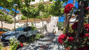 Una calle residencial con un coche blanco estacionado a un lado, una escalera que lleva a un edificio y rosales rojos trepando por un árbol.