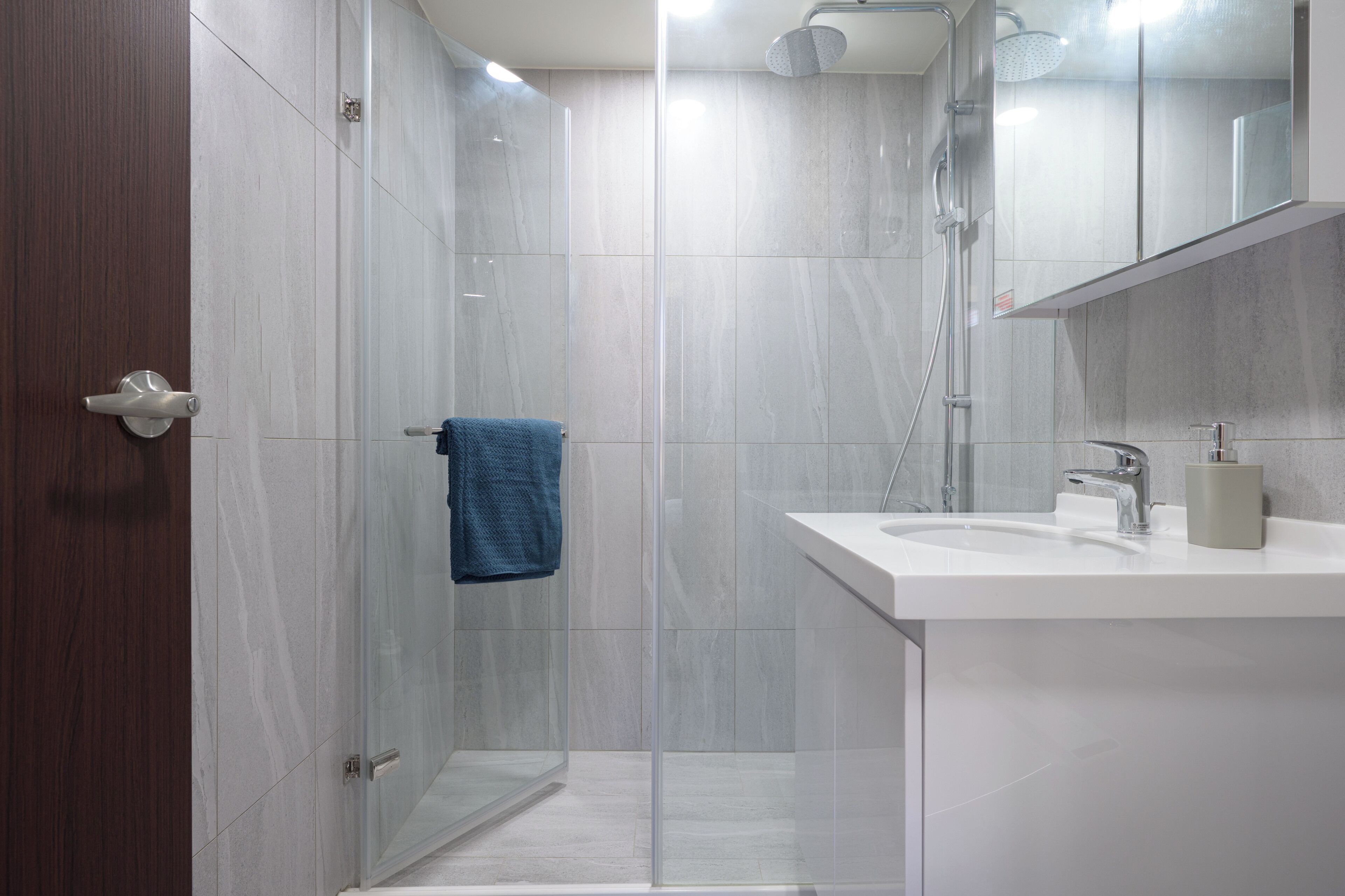 Shower, hair dryer, bidet, towels
