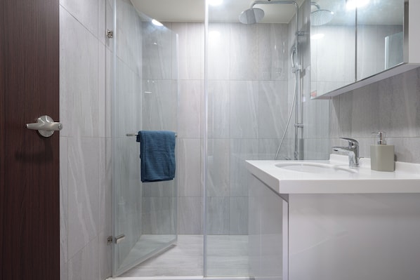 Regadera, secadora de cabello, bidet, toallas