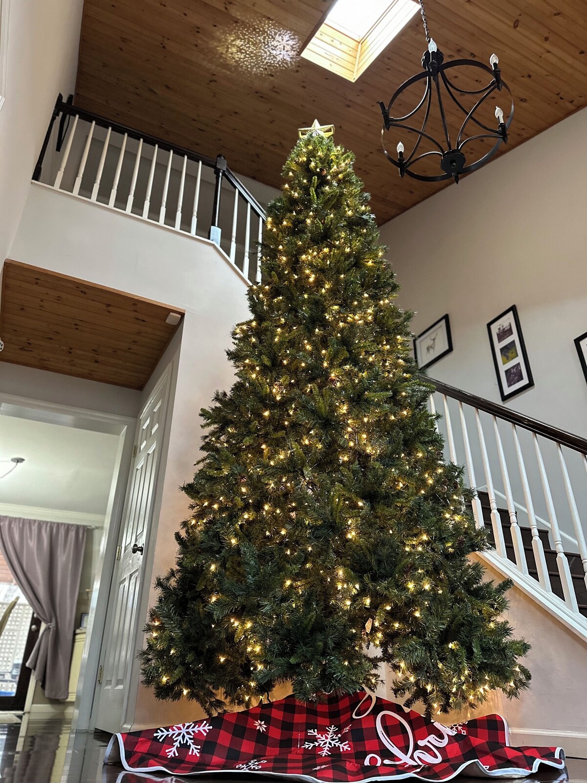 オーナーのプロフィール画像