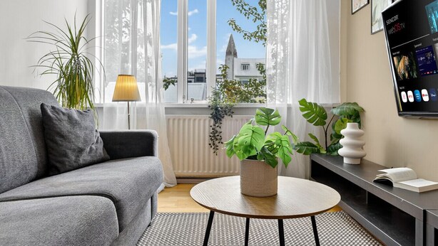 A modern living room with a grey sofa, a round coffee table with a plant, a radiator, and a TV on the wall. - Prime Location Gem in the Heart of Reykjavík (Reykjavík)