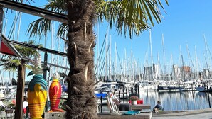 A palm tree in front of a marina with boats docked in the background. - Lines to Huus Vacation Home – Near the Baltic Sea Beach (Neukirchen)