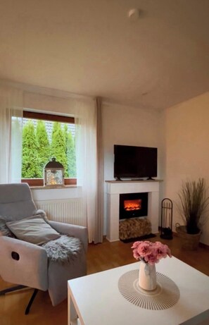 Smart TV, fireplace, books, computer monitors