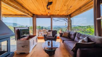 21-Zoll-Smart-TV mit Digitalempfang, Kamin