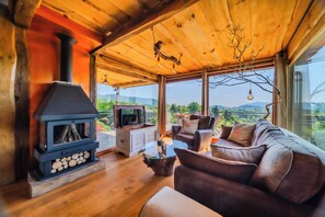 En 21-tommers smart-TV med digitale kanaler samt peis