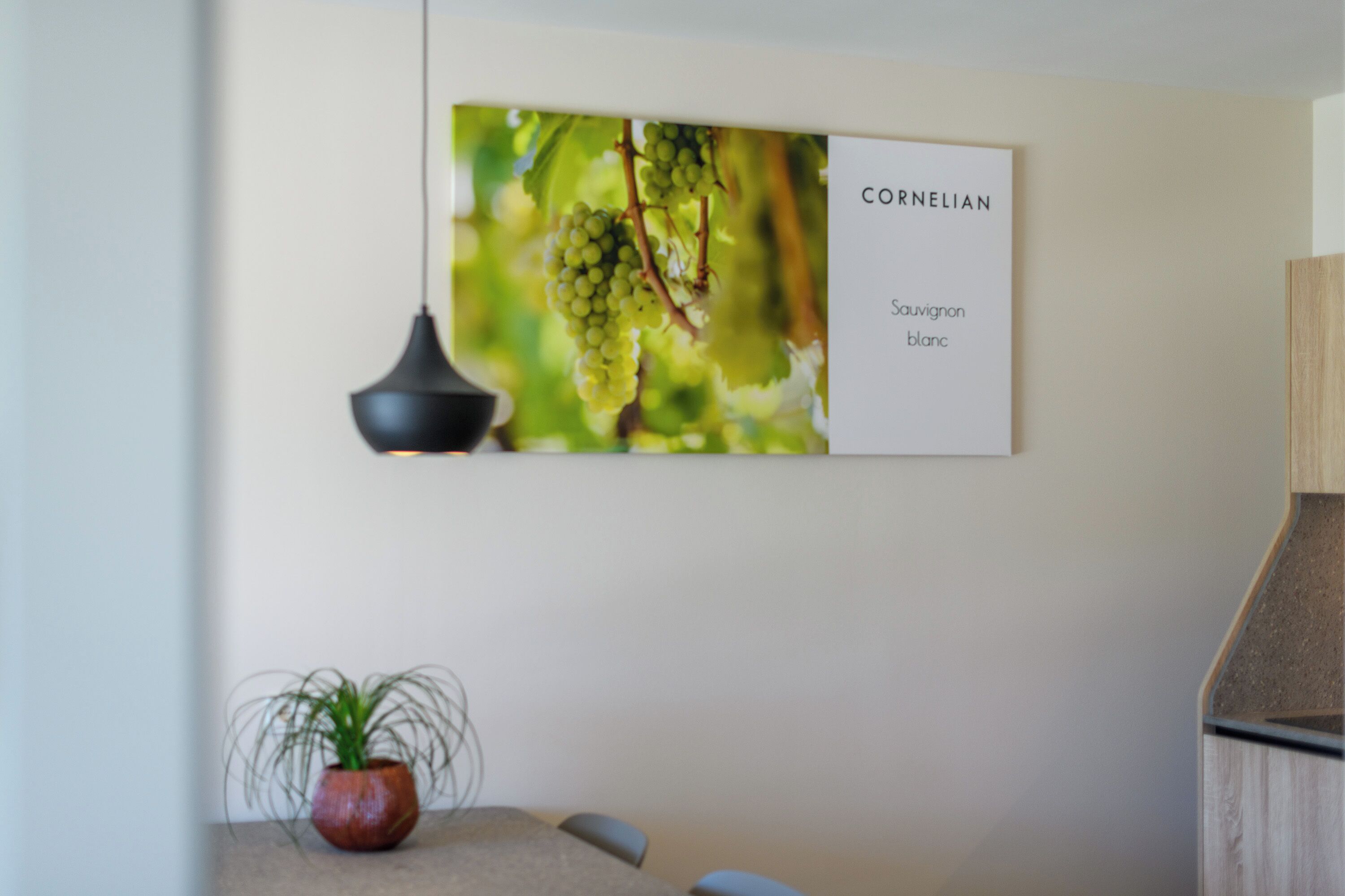 A wall-mounted sign with the text 'CORNELIAN Sauvignon Blanc' and a blurred background of green grapes.