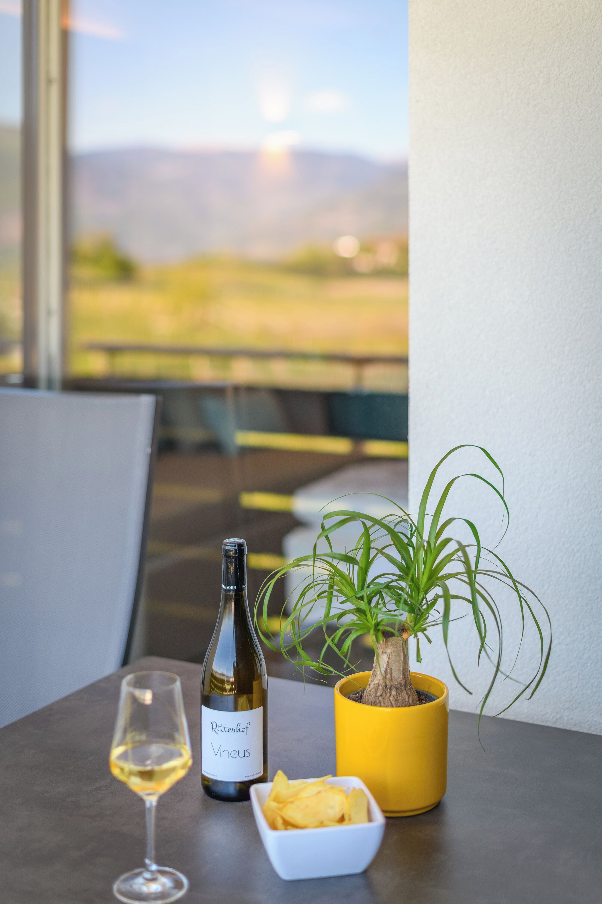 Une table avec une bouteille de vin, un verre, un bol de chips et une plante en pot.