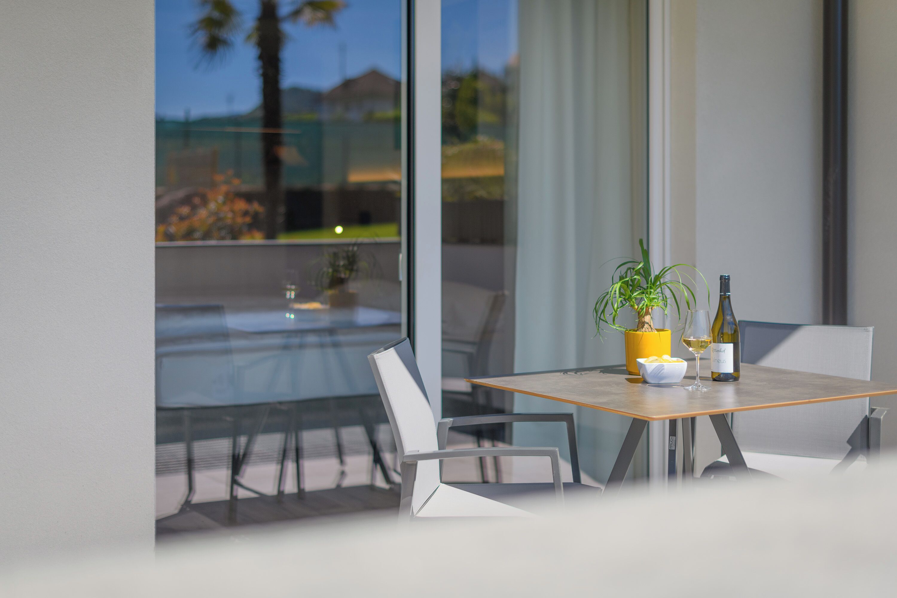 A modern dining area with a table, chairs, a bottle of wine, a glass, and a potted plant.