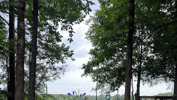 A picnic area with a table and chairs, surrounded by trees and a grassy field.