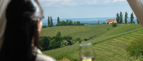 Ansicht von oben