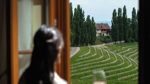 A person holding a glass, looking out of a window at a cemetery with rows of graves. - Dvorec Jeruzalem (Ljutomer)