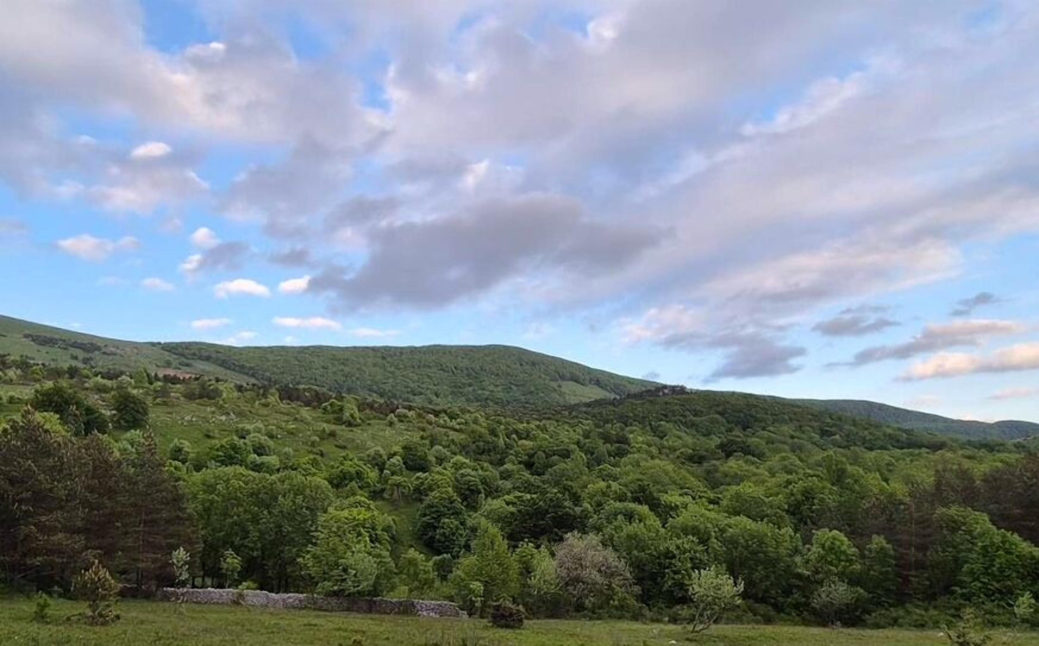 A mountainous landscape with lush greenery and a stone wall in the foreground.