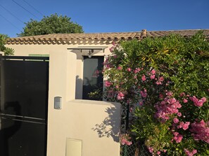 Détail de l’extérieur