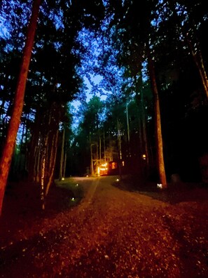 Miscellaneous - Little Bear Tiny Cabin in The Forest (Cosby)