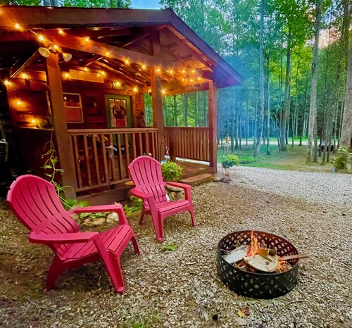 Little Bear Tiny Cabin in The Forest