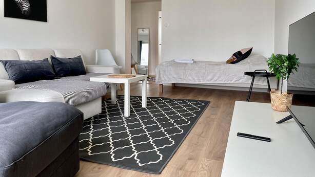A modern living room with a sofa, a coffee table, a patterned rug, a bed, and a small plant.