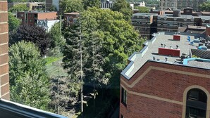 A view from a window overlooking a cityscape with various buildings, including a prominent white building and a historic-looking structure with a tower.