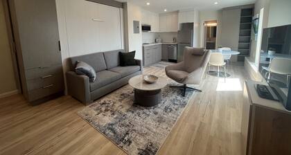 Cozy Modern Centretown Ottawa Studio Near U of O, Restaurants, and Amenities