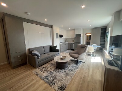 Cozy Modern Centretown Ottawa Studio Near U of O, Restaurants, and Amenities