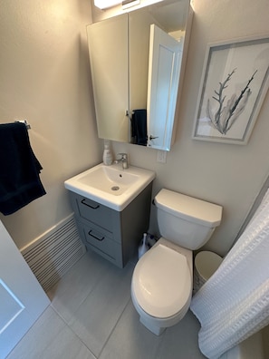 Hair dryer, towels, soap, toilet paper