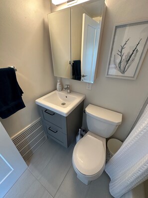 Hair dryer, towels, soap, toilet paper