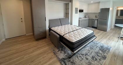 Cozy Modern Centretown Ottawa Studio Near U of O, Restaurants, and Amenities