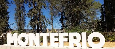 A large white sign with the word "MONTEFRIO" in capital letters.