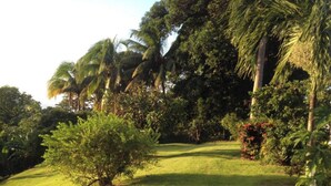 Property grounds - Standard Room main house (Mount Nesbit)