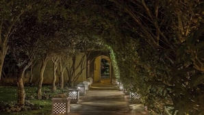 Un chemin bordé d’arbres et illuminé de lanternes, menant à l’entrée d’un bâtiment.