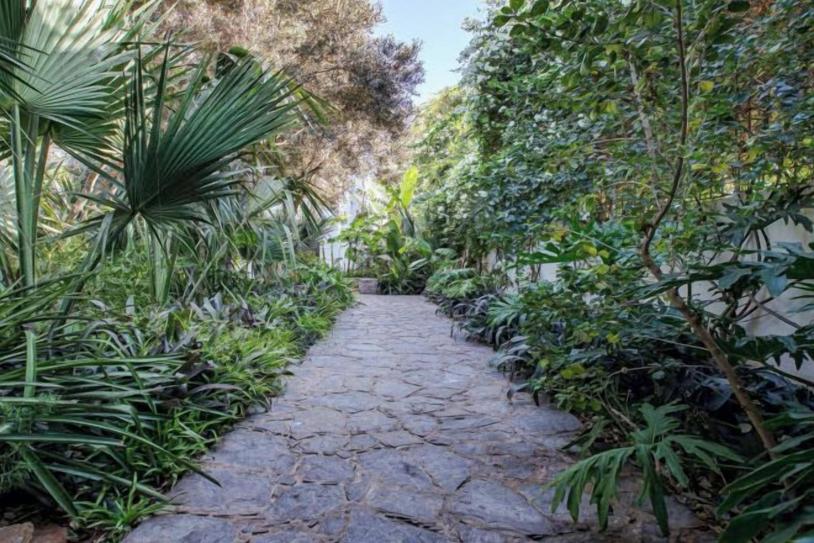 A stone pathway surrounded by lush greenery.