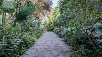 A stone pathway surrounded by lush greenery.