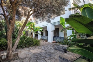 A courtyard with a stone pathway, potted plants, and a building with a white facade. - Le Riad Villa Blanche (Agadir)