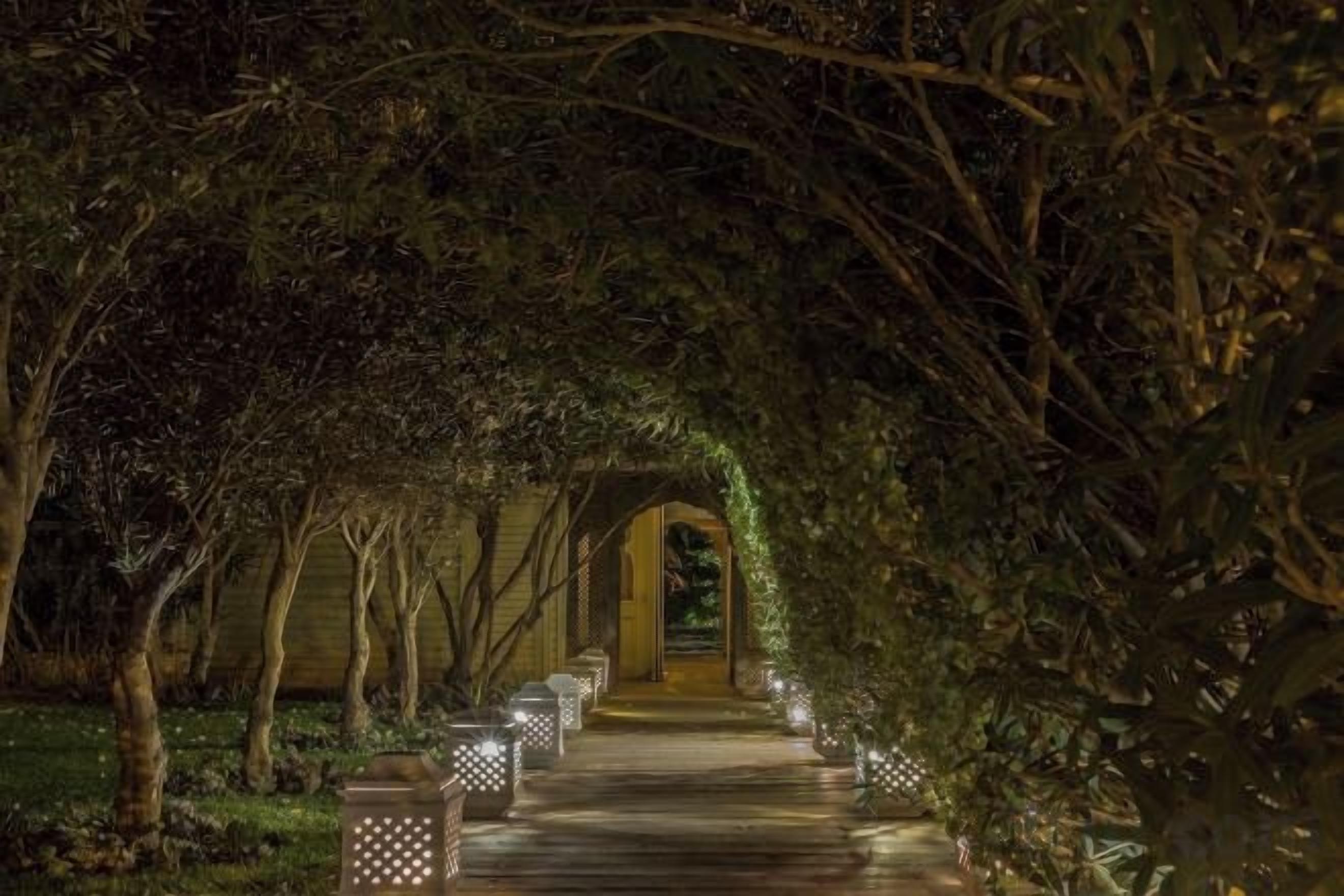 A pathway lined with trees and illuminated lanterns, leading to an entrance.