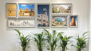 A wall with framed photographs of various buildings and a row of potted plants in the foreground. - Hotel the octave (Surat)