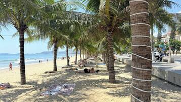 A beach with palm trees, a sandy shore, and a view of the sea.