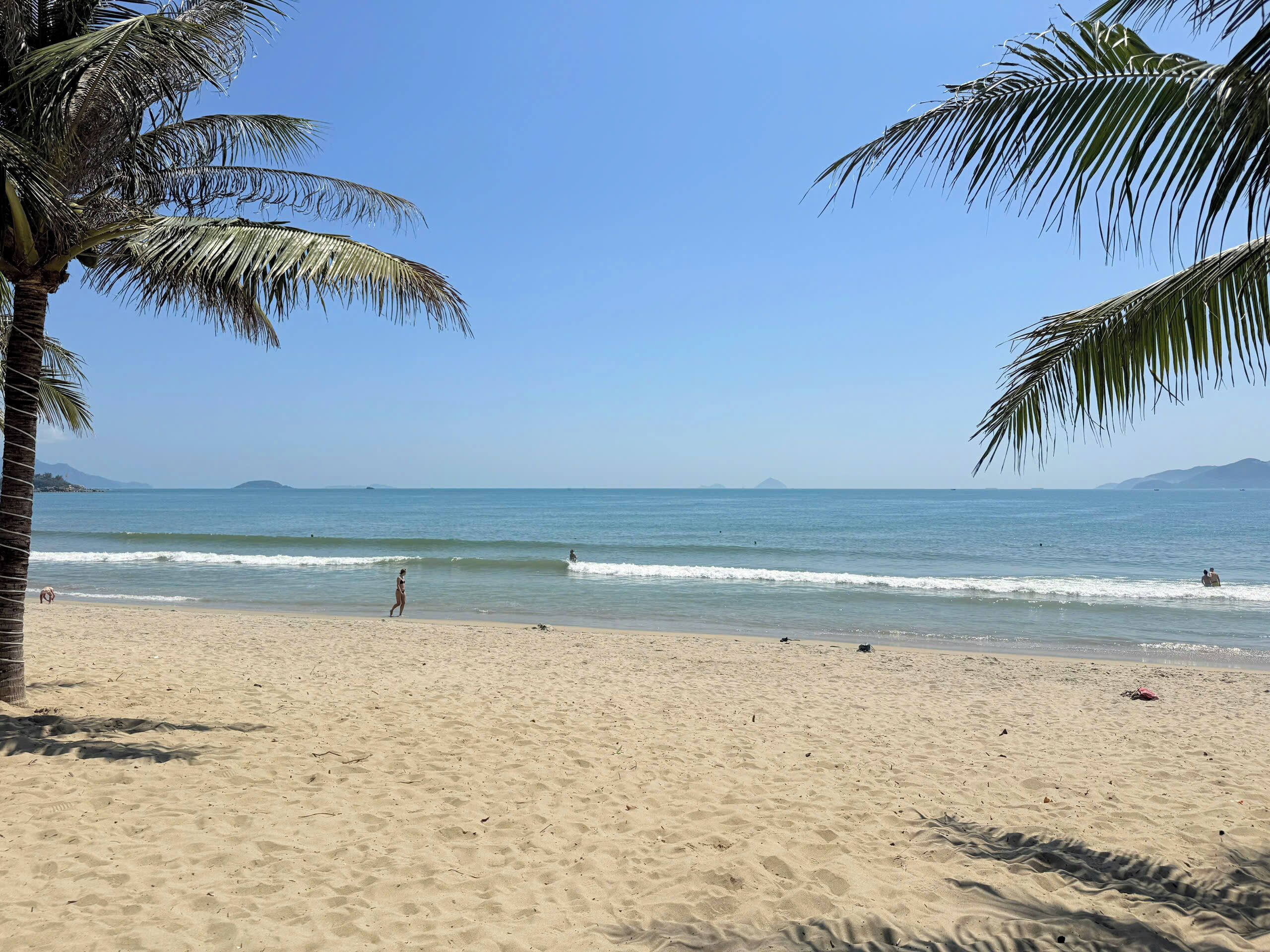 A beach with palm trees, clear skies, and calm water.