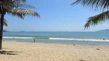 A beach with palm trees, clear skies, and calm water.