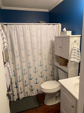 Hair dryer, towels, soap, toilet paper