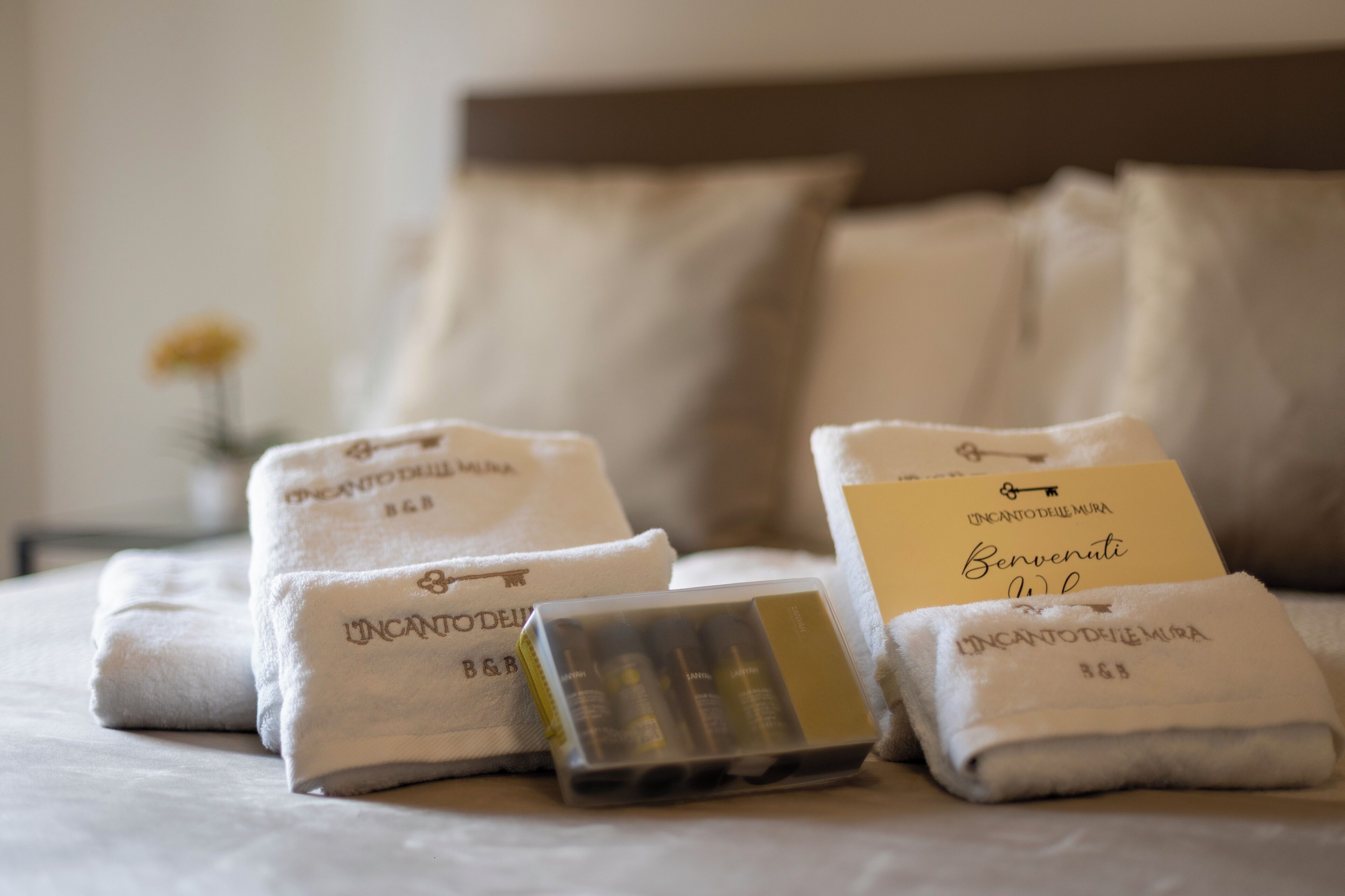 Casa de ciudad Deluxe, vista a la ciudad, piso ejecutivo | Escritorio, espacio para trabajar con laptop y insonorización 