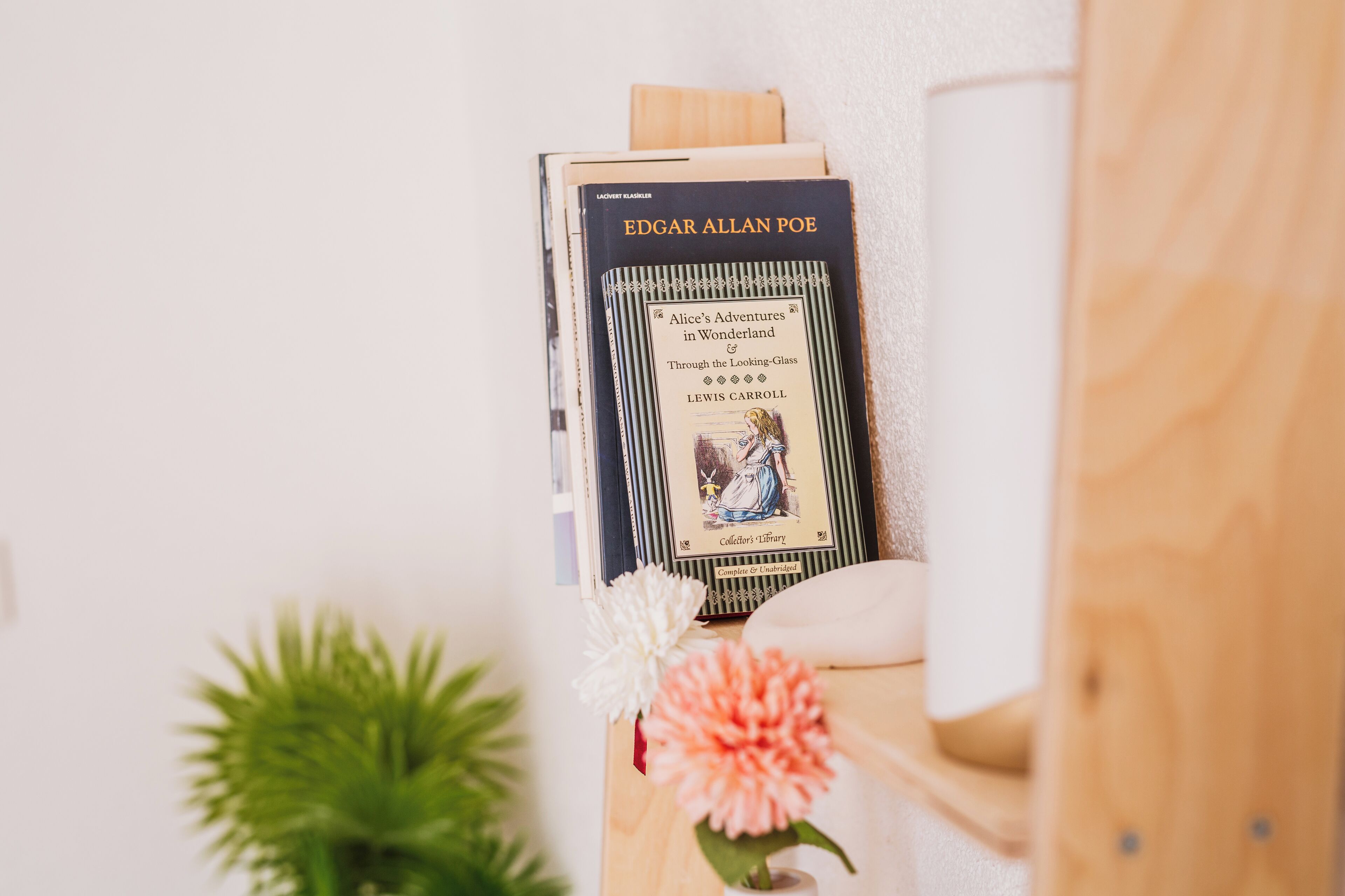 Ein Bücherregal mit Büchern, einem gerahmten Bild und einer Topfpflanze.