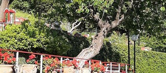 La Cupoletta Holiday house - Lake view Trevignano near Rome