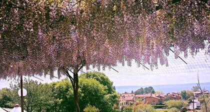 La Cupoletta Holiday house - Lake view Trevignano near Rome