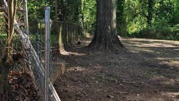 Área da propriedade