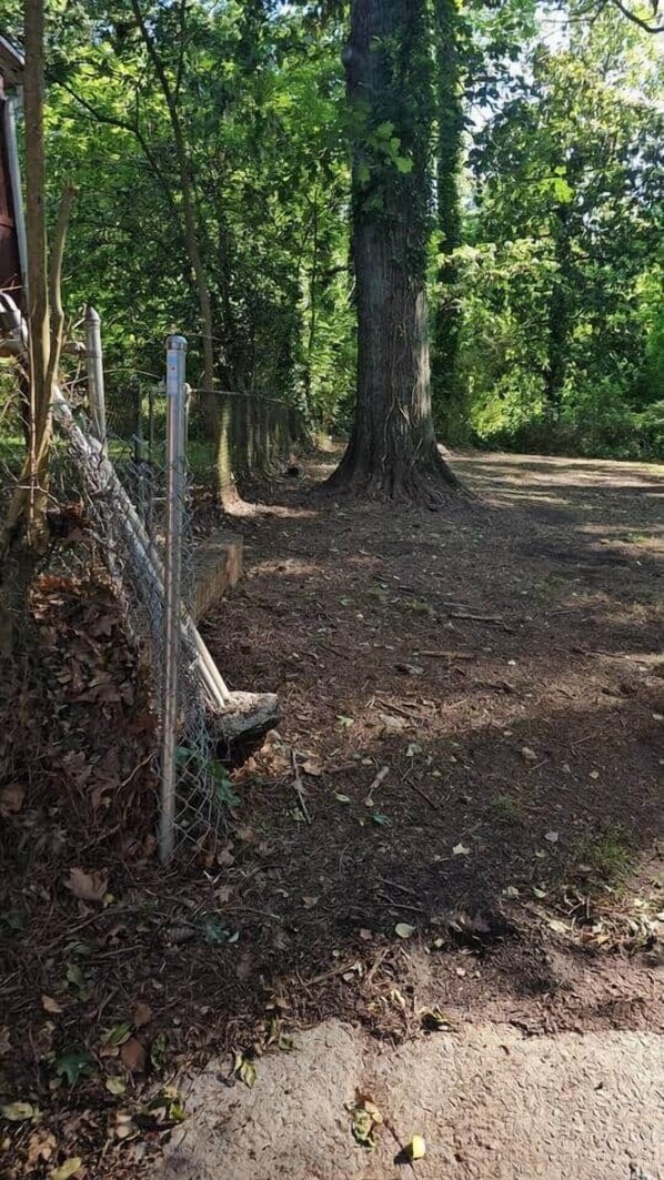 A forested area with a dirt path, a metal fence, and a large tree trunk. - The Big Easy (Atlanta)