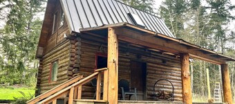Cozy cabin with WiFi and AC in awesome Olympia