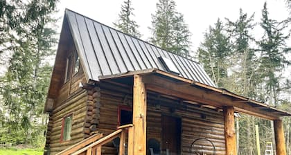 Cozy cabin with WiFi and AC in awesome Olympia