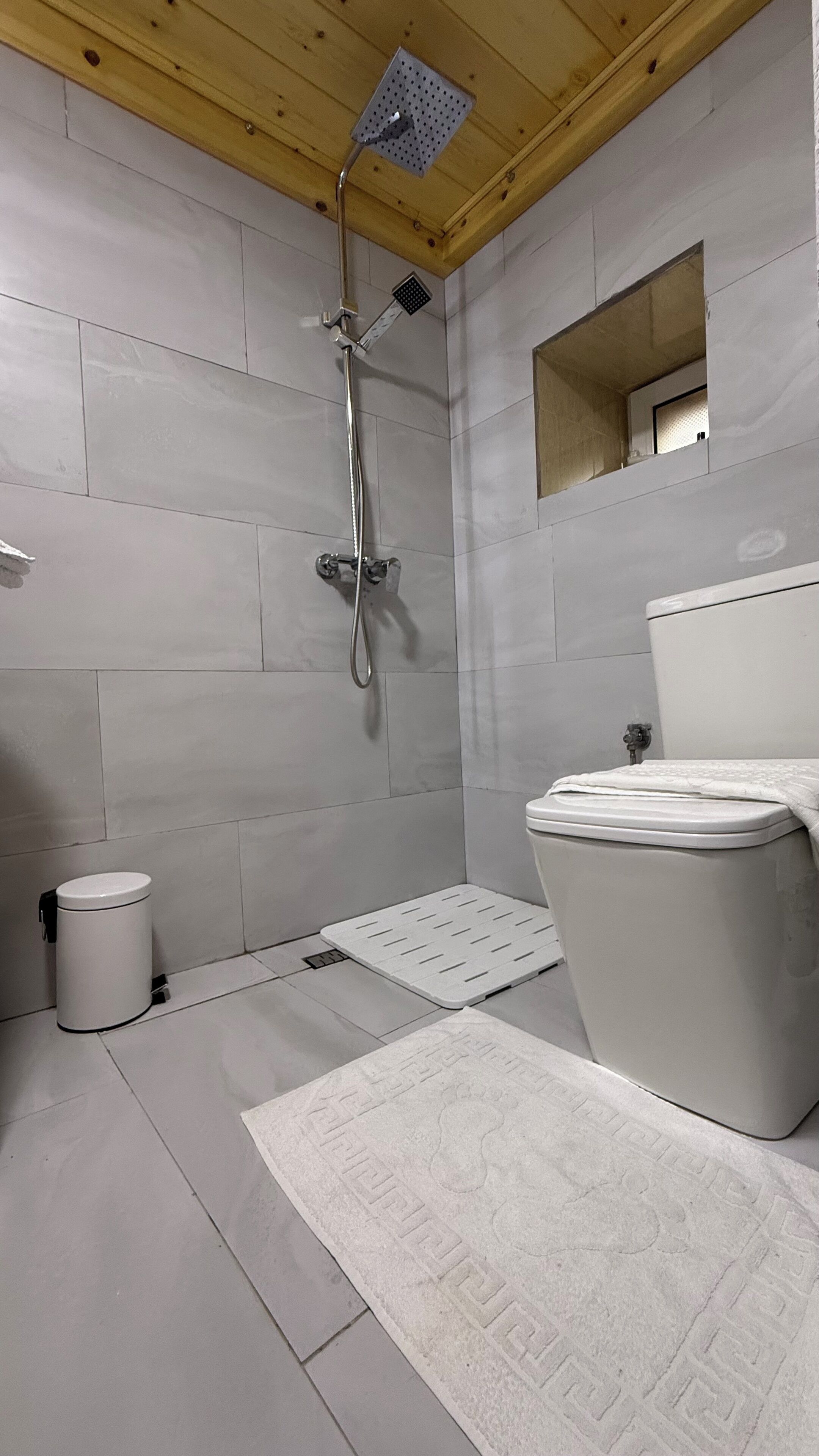 Et badeværelse med bruser, toilet og en lille skraldespand.