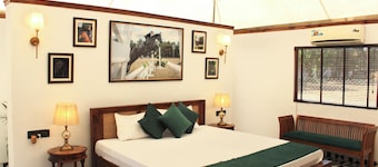 Aravali farm stay with horses offers a unique getaway amidst nature and horses.