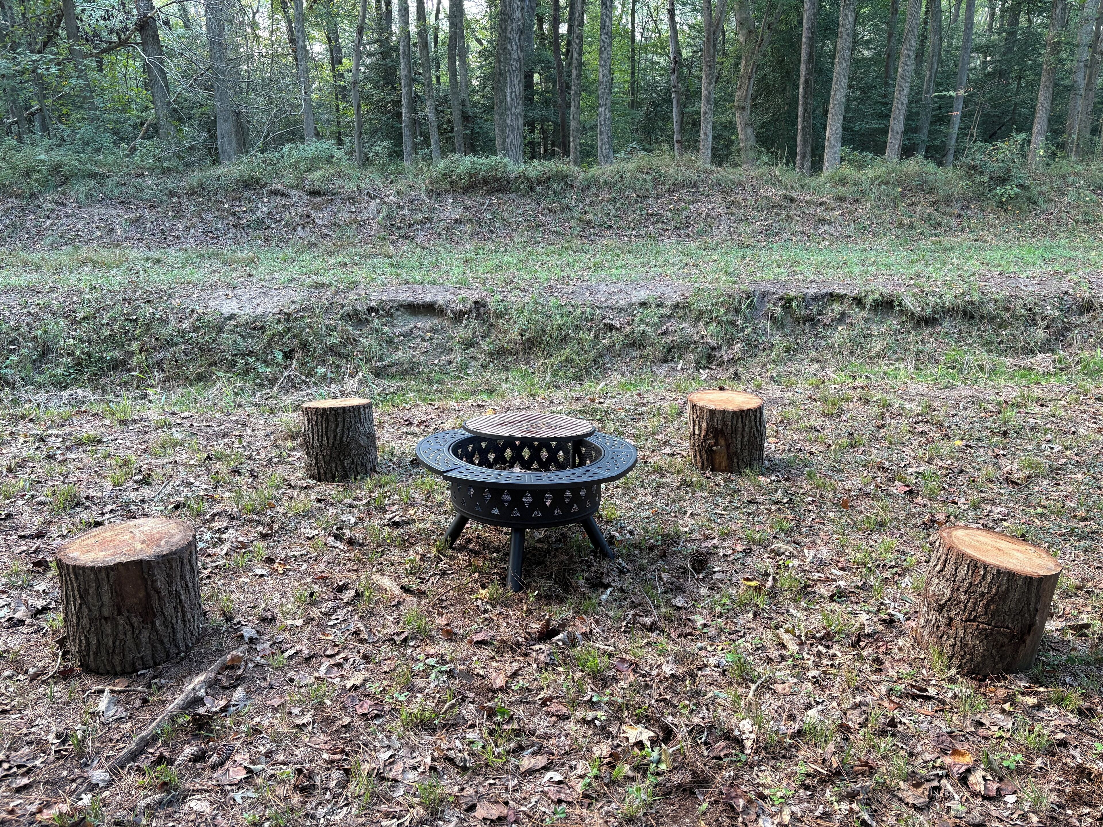 Un espace extérieur circulaire aménagé avec des sièges, doté d’un foyer au centre et entouré de quatre souches d’arbres.